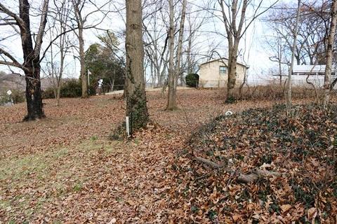 642 E Campbell Rd, Madison, TN 37115 photo 13