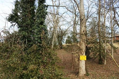 642 E Campbell Rd, Madison, TN 37115 photo 5