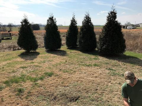 4331 Dot Rd, Springfield, TN 37172 photo 20