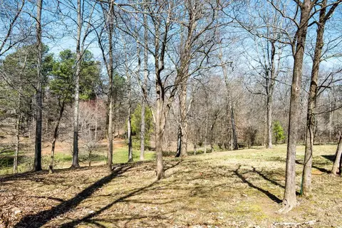 160 Pate Ln, Dickson, TN 37055 photo 21