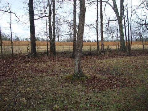 108 Hickory Pointe, Dickson, TN 37055 photo 3