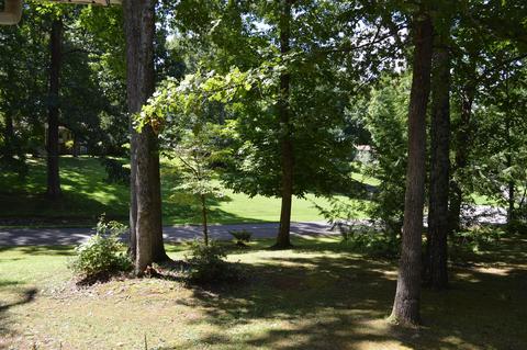 312 Crestview Dr, Dickson, TN 37055 photo 26
