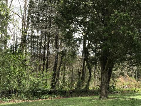 1231 Black Rd, Cunningham, TN 37052 photo 8