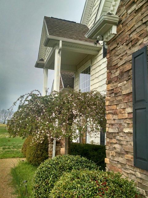 112 Hillside Dr, Dickson, TN 37055 photo 4
