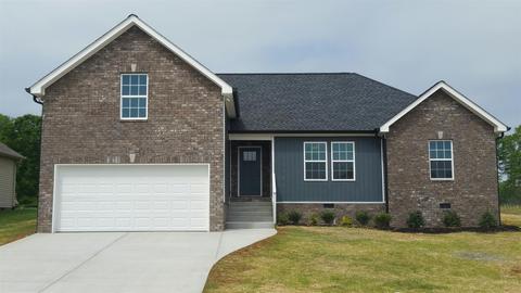 329 Brandywine Ln, Springfield, TN 37172 photo 3