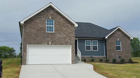329 Brandywine Ln, Springfield, TN 37172 photo 2