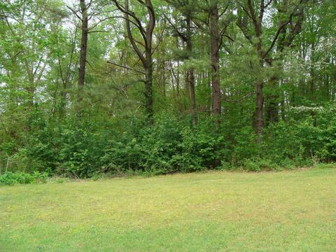 6808 Highway 76, Springfield, TN 37172 photo 13