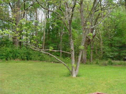 6808 Highway 76, Springfield, TN 37172 photo 14