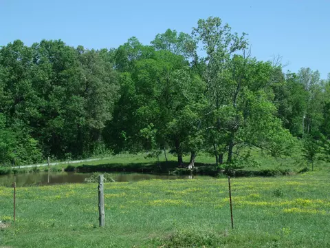 281 Tom Johnson Rd, Morrison, TN 37357 photo 2