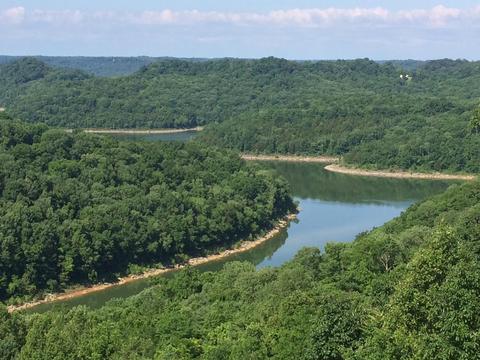 8541 Silverview Ln, Silver Point, TN 38582 photo 2