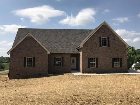 869 Iris Dr, Eagleville, TN 37060 photo 1