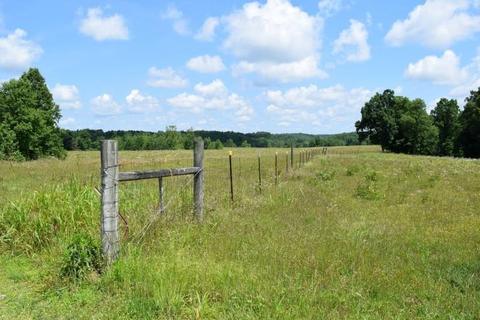 512 Bevel Spring Rd, Goodspring, TN 38460 photo 7