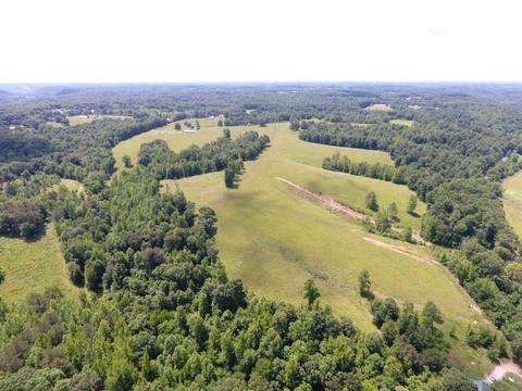 512 Bevel Spring Rd, Goodspring, TN 38460 photo 3