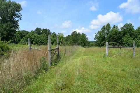 512 Bevel Spring Rd, Goodspring, TN 38460 photo 28