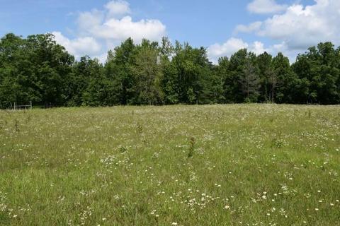 512 Bevel Spring Rd, Goodspring, TN 38460 photo 23