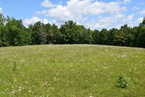 512 Bevel Spring Rd, Goodspring, TN 38460 photo 12