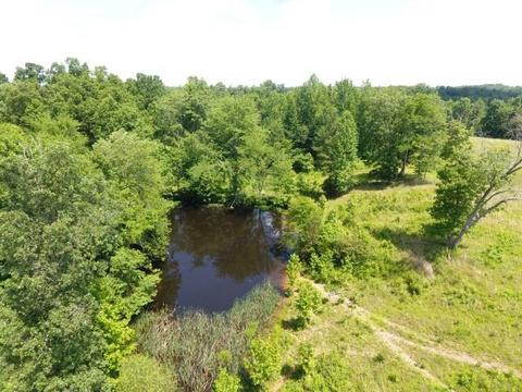 512 Bevel Spring Rd, Goodspring, TN 38460 photo 14