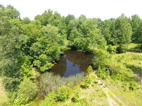 512 Bevel Spring Rd, Goodspring, TN 38460 photo 2