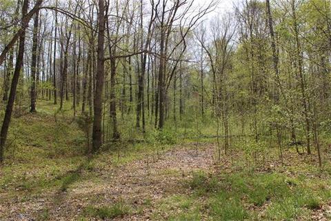 120 Beech St, Dover, TN 37058 photo 1