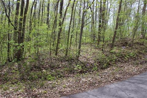 120 Beech St, Dover, TN 37058 photo 4