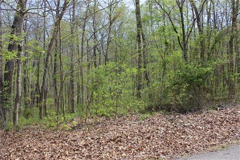120 Beech St, Dover, TN 37058 photo 5