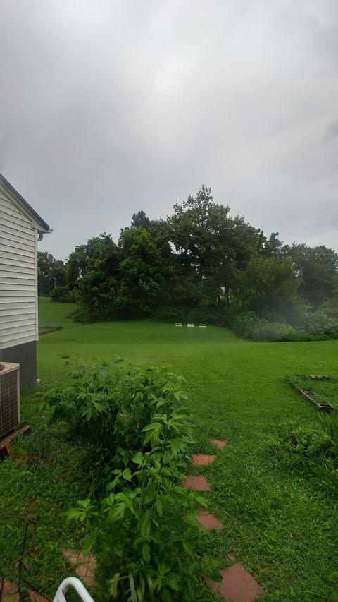 309 Cofer Dr, Springfield, TN 37172 photo 11