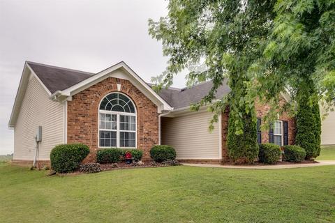 3002 Ping Ct, Spring Hill, TN 37174 photo 3