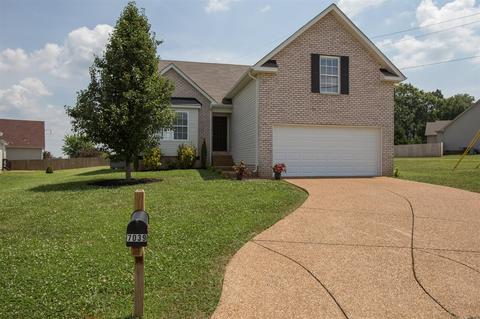 7039 Nickalus Way, Spring Hill, TN 37174 photo 1