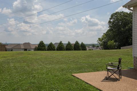 7039 Nickalus Way, Spring Hill, TN 37174 photo 19