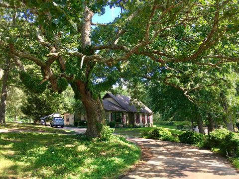 209 Bonnertown Appleton Rd, Five Points, TN 38457 photo 3