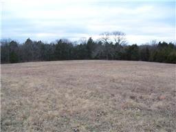 1101 John Windrow Rd, College Grove, TN 37046 photo 1