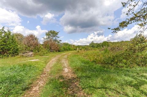 1101 John Windrow Rd, College Grove, TN 37046 photo 21