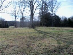 1101 John Windrow Rd, College Grove, TN 37046 photo 4