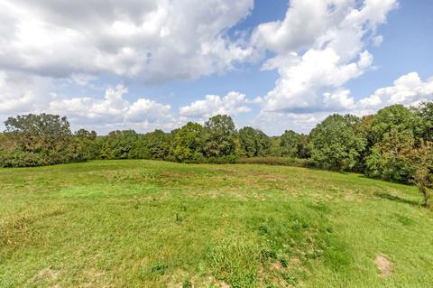 1101 John Windrow Rd, College Grove, TN 37046 photo 14