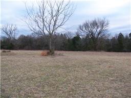 1101 John Windrow Rd, College Grove, TN 37046 photo 5