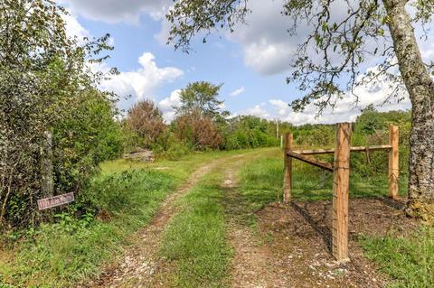 1101 John Windrow Rd, College Grove, TN 37046 photo 20
