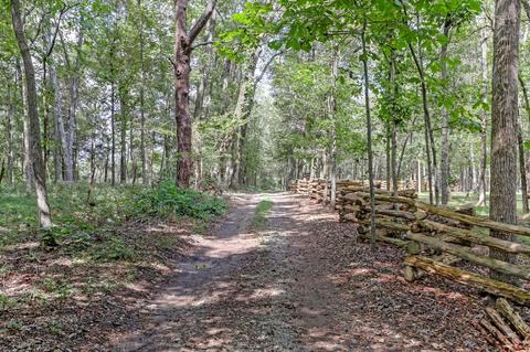1101 John Windrow Rd, College Grove, TN 37046 photo 22