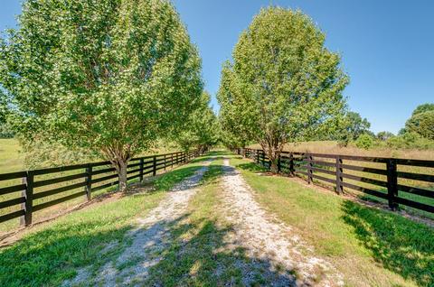 53 Cherie Ln, Five Points, TN 38457 photo 30