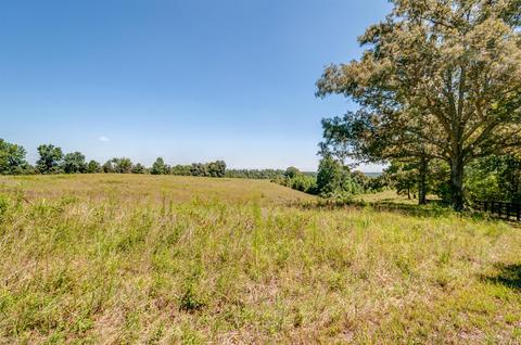53 Cherie Ln, Five Points, TN 38457 photo 24