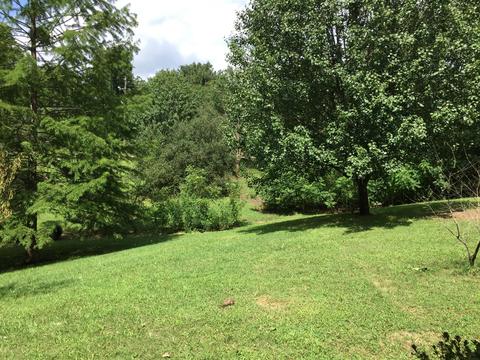 47 3rd St, Monteagle, TN 37356 photo 13