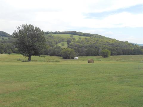 1090 Cortner Rd, Normandy, TN 37360 photo 5