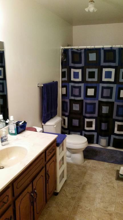 201 Cofer Dr, Springfield, TN 37172 photo 9