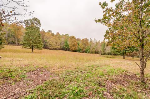 1074 E Beaverdam Rd, Centerville, TN 37033 photo 26