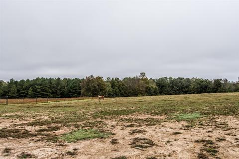 184 W Piney Rd, Dickson, TN 37055 photo 17