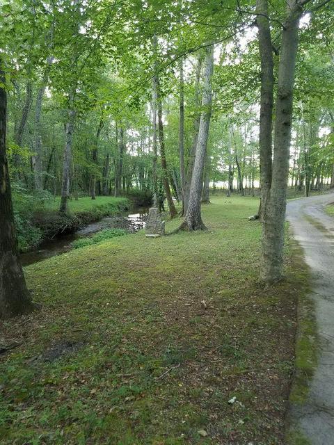 24 Methvin Rd, Loretto, TN 38469 photo 17