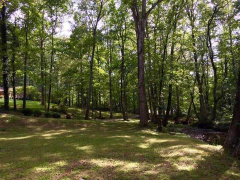 24 Methvin Rd, Loretto, TN 38469 photo 15