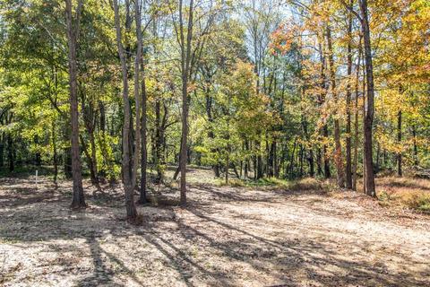 4433 Taylor Rd, Springfield, TN 37172 photo 26