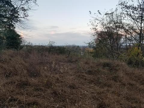 1075 Main St, Eagleville, TN 37060 photo 5