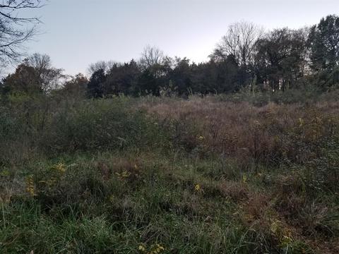 1075 Main St, Eagleville, TN 37060 photo 7