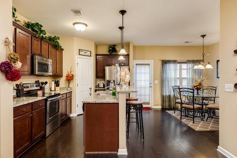 1029 Hemlock Dr, Spring Hill, TN 37174 photo 7